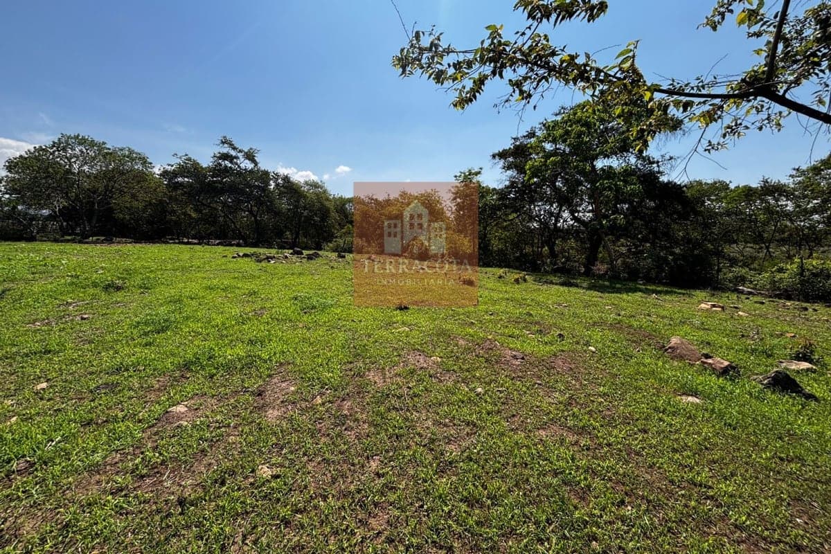Terreno Campestre Trapiche