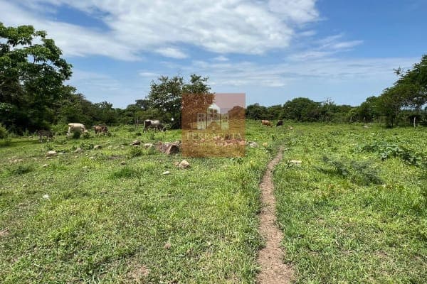 Terreno Campestre Trapiche - 3