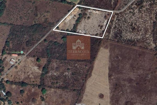 Terreno Campestre Trapiche - 5